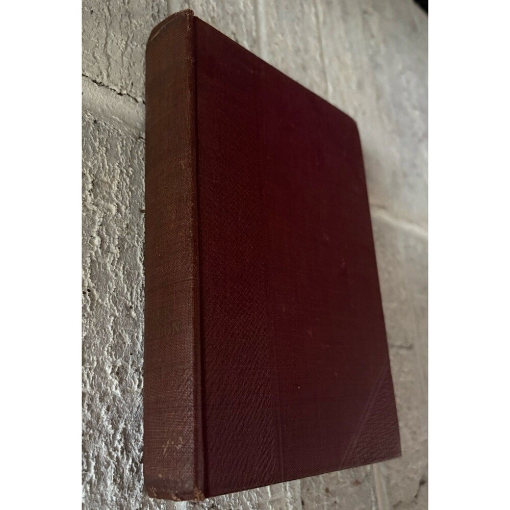 Antique Classic The Call of the Wild Jack London 1915 Hardcover Illustrated Book - Picture 6 of 12